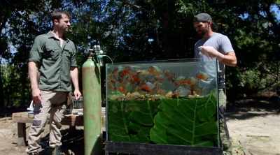 I'm about to willingly
stick my hand in a piranha tank. - Kings of Pain