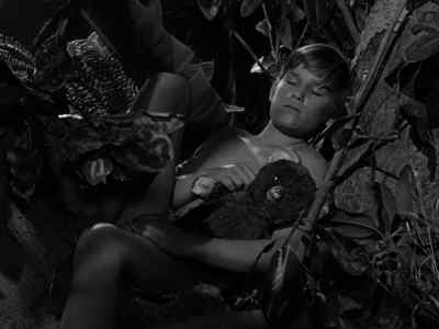 - 'I'm afraid he'll fall out.'
- 'Oh, he's right at home.' - Gilligan's Island
