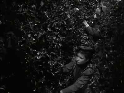 I'm afraid they sealed the door - The Secret Garden