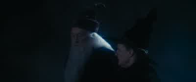 I'm afraid so, professor. - Harry Potter and the Philosopher's Stone