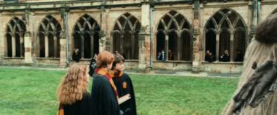 I'm afraid we have no choice, Hagrid. - Harry Potter and the Chamber of Secrets