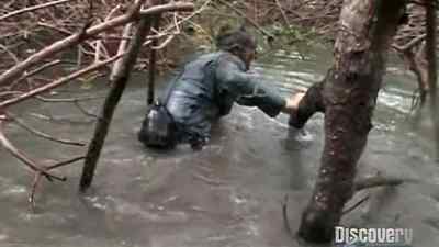 I'm already pretty high. - Man vs. Wild