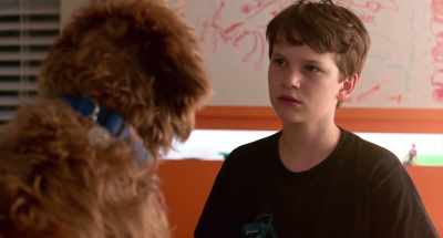I'm always happy - Think Like a Dog