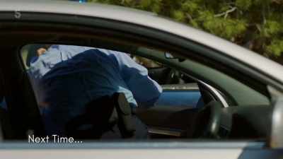 I'm assuming the police
will want to talk to us. Yeah. - The Holiday