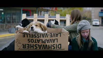 I'm back. - A Dog's Purpose