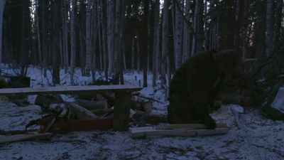 I'm basically just templating
what's currently existing. - Life Below Zero: Next Generation