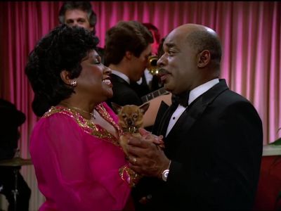 I'm beginning to feel like
that dog is welded to you. - The Love Boat