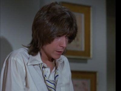 I'm beginning to realize that responsibilities are - The Partridge Family