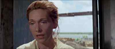 I'm bewildered, Mr Murphy. - Murphy's War