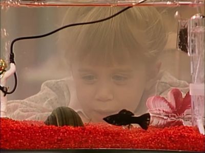I'm big trouble mister - Full House