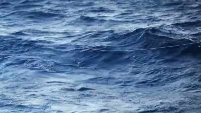  I'm calling that
[bleep]  30 minutes - Deadliest Catch: Bloodline