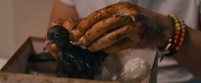 I'm cleaning his ugly gashes.
Got any antiseptic? - Life For Real