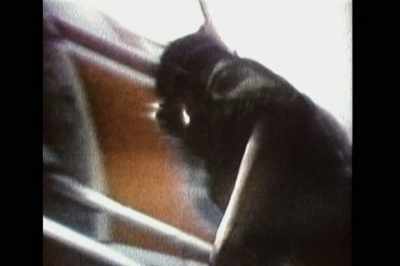 I'm climbing the stairs - ¡Las Sandinistas!