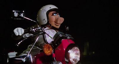 I'm coming Kermie - The Great Muppet Caper