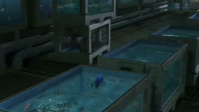 I'm coming Mommy! - Finding Dory