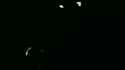 I'M CONFIDENT THAT IT'S BIRD
OR INSECT, SOMETHING LIKE THAT, - Strange Evidence