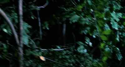 I'm dead, he's gonna kill me. - There's Nothing Out There