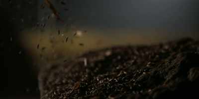 I'm doing my best
to keep the farming going. - Omnivore