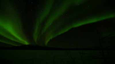 I'm facing
animals that, you know, - Life Below Zero: Next Generation