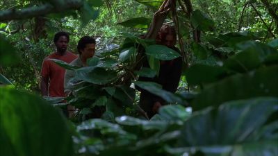 I'm fine. I'm fine, damn it. - Lost