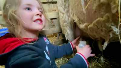 I'm getting milk! Going to leave
some for the other — for hers. - Our Yorkshire Farm