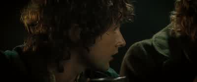 - I'm getting one. - The Lord of the Rings: The Fellowship of the Ring