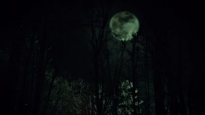 I'm glad you decided to come, Maggie Sue. - Hemlock Grove