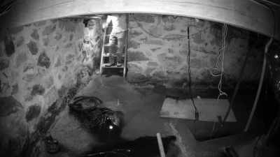I'm glad that I went back
into the basement. - The Holzer Files