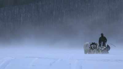 I'm going to get them back to
camp and just lick my wounds - Life Below Zero: Next Generation