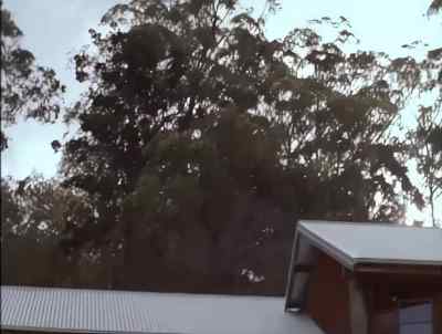I'm going to go now. - Time Trax