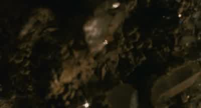 L'm going to lose my temper now. - Fantastic Mr  Fox