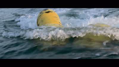 I'm going to draw him into the shallows. - Jaws