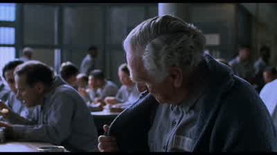 I'm going to look after him until he's big enough to fly. - The Shawshank Redemption