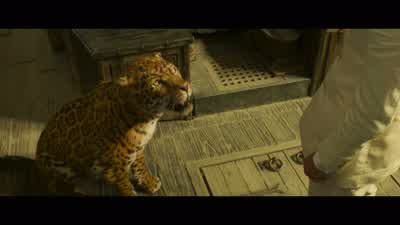 I'm going to pet you now. - Jungle Cruise
