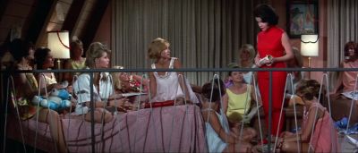 I'm going with Frankie tomorrow to try the skydiving bit - Beach Blanket Bingo