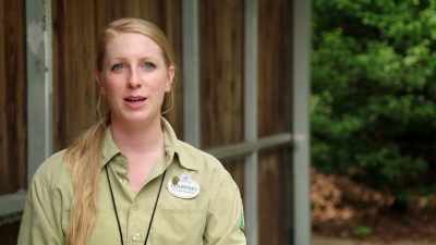 I'm gonna ask Grace
to do different things, - Magic of Disney's Animal Kingdom