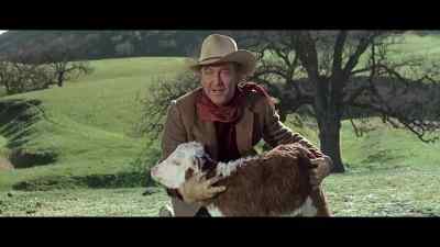 I'm gonna borrow him for a little while. - The Rare Breed