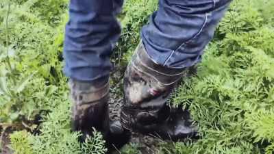 I'm gonna dig a few carrots, - Through Our Eyes
