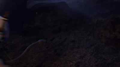 I'm gonna get you! - Kung Fu Panda: The Dragon Knight