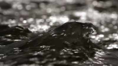 I'm gonna go ahead
and check this out, - Life Below Zero: Next Generation