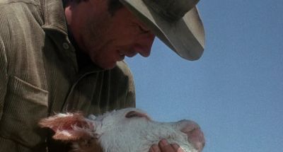 I'm gonna have to carry ya - Hang 'Em High