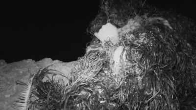 I'm gonna hold my position - Expedition Bigfoot