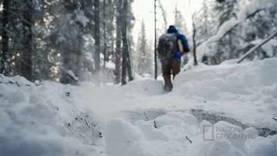 I'm gonna just keep looking
for really good rabbit trails to - Life Below Zero: First Alaskans