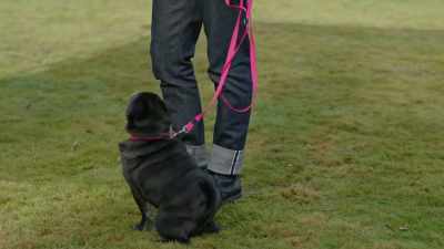 I'm gonna keep your leash on, - A Picture of Her