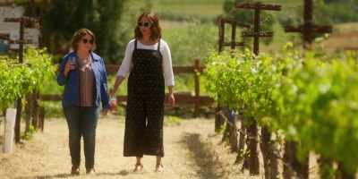 - I'm gonna need that hair down there...
- Well, you don't know. - Wine Country