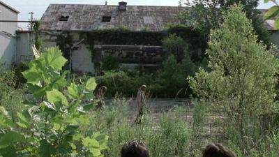I'm gonna say... - The Walking Dead