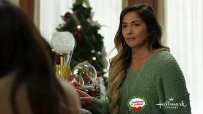I'm gonna submit
my portfolio materials - Coyote Creek Christmas