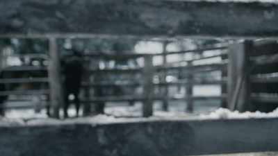 I'm gonna take Holly
back to the stables and-- - Mistletoe Ranch