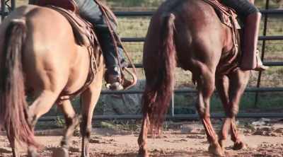I'm good. I'm good.
Just give me a second. - How to Be a Cowboy