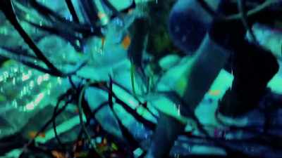 I'm good. - The Flaming Lips Space Bubble Film